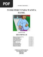 Download Nyeri perut pada wanita hamil by Raja Rani Verdianti SN82076945 doc pdf