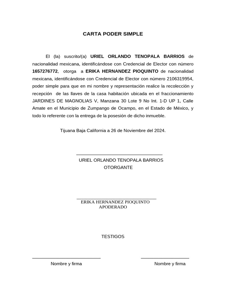 Carta Poder Simple para Entrega de Llaves | PDF