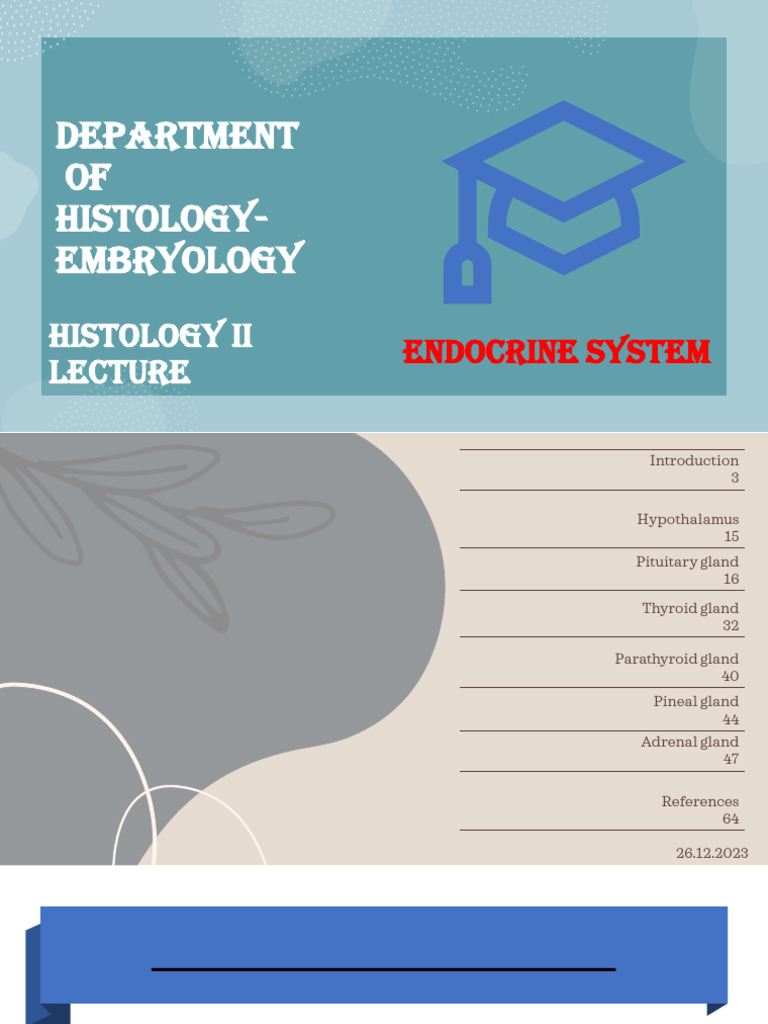 Endocrine System Overview and Functions | PDF | Pituitary Gland ...