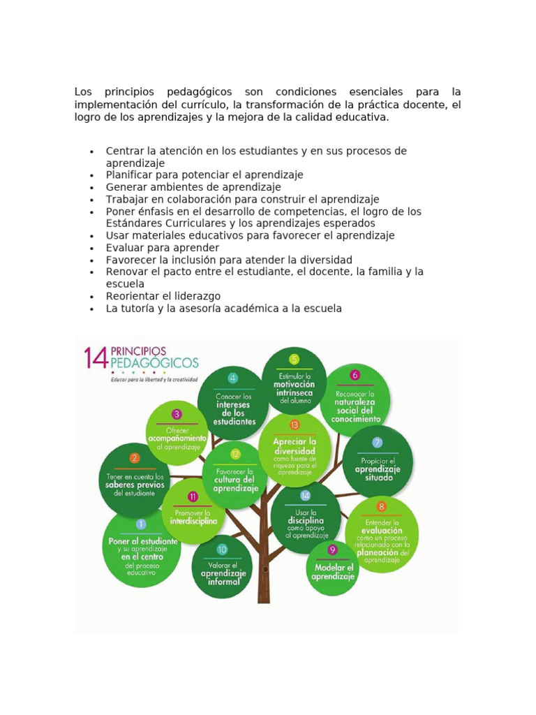 Principios Pedagogicos | PDF | Evaluación | Aprendizaje
