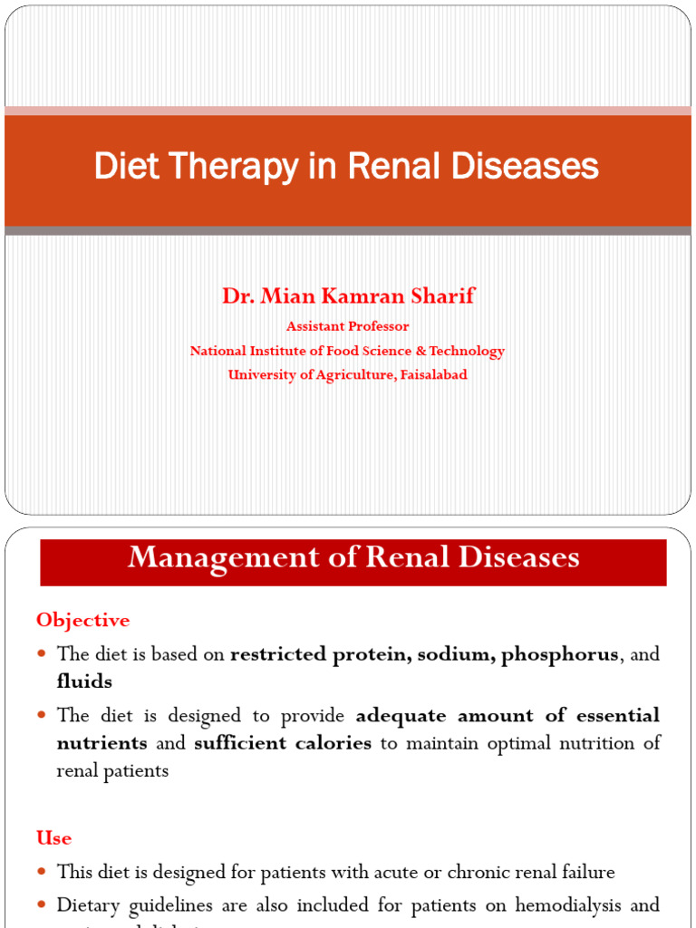 Diet Therapy for Renal Diseases | PDF | Chronic Kidney Disease | Kidney