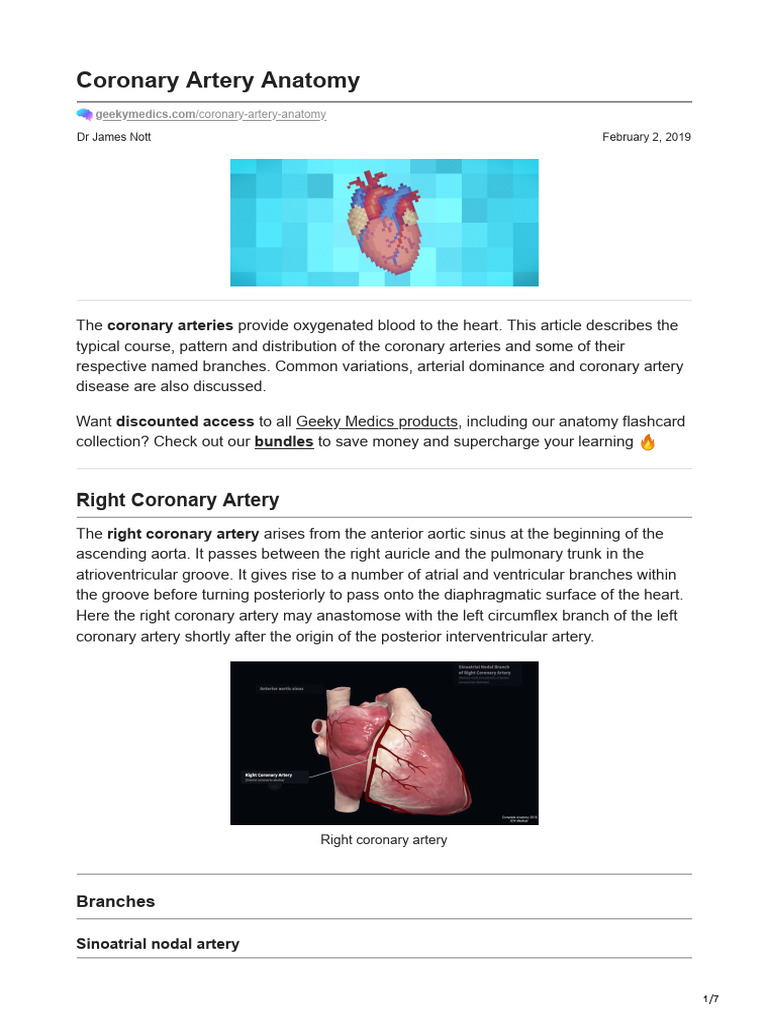 ANATOMY AND PHYSIOLOGY OF CORONARY ARTERY PPT visual data 7