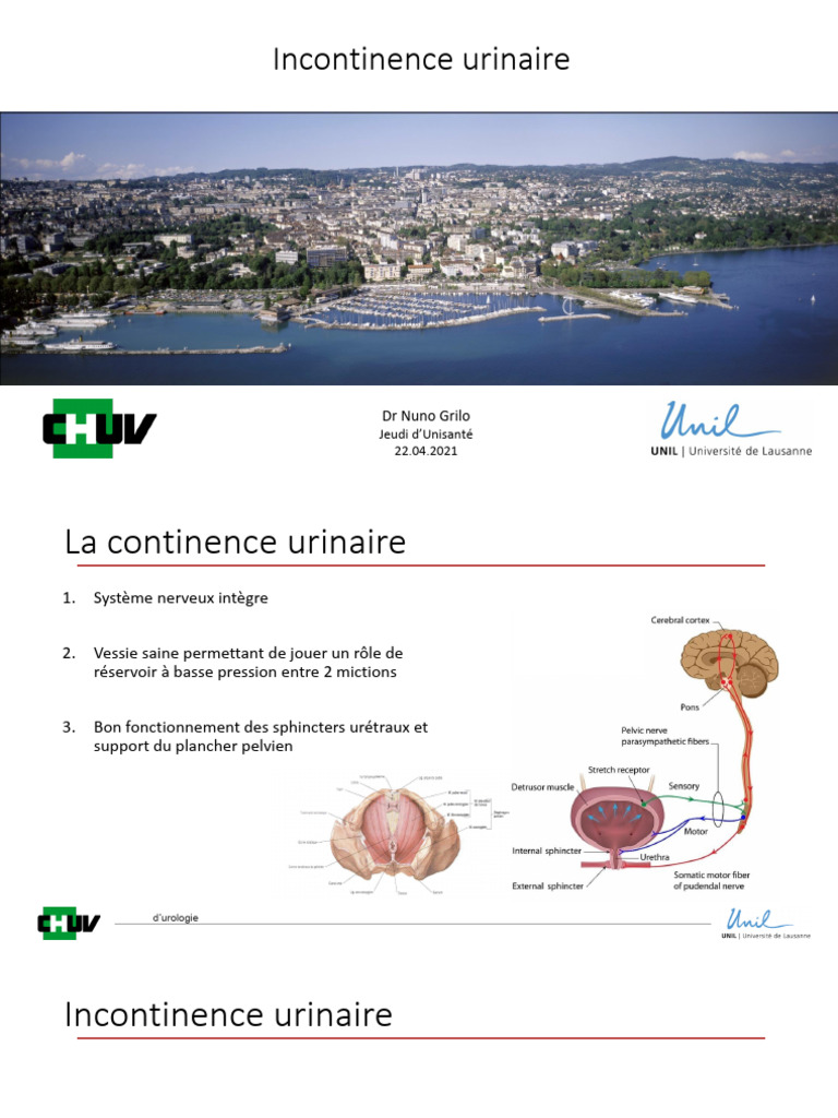 Comprendre l'incontinence urinaire | PDF | Incontinence urinaire ...