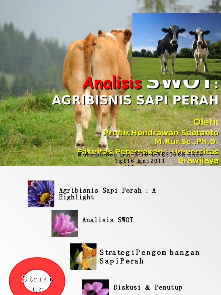 Analisis Swot Agribisnis Sapi Perah