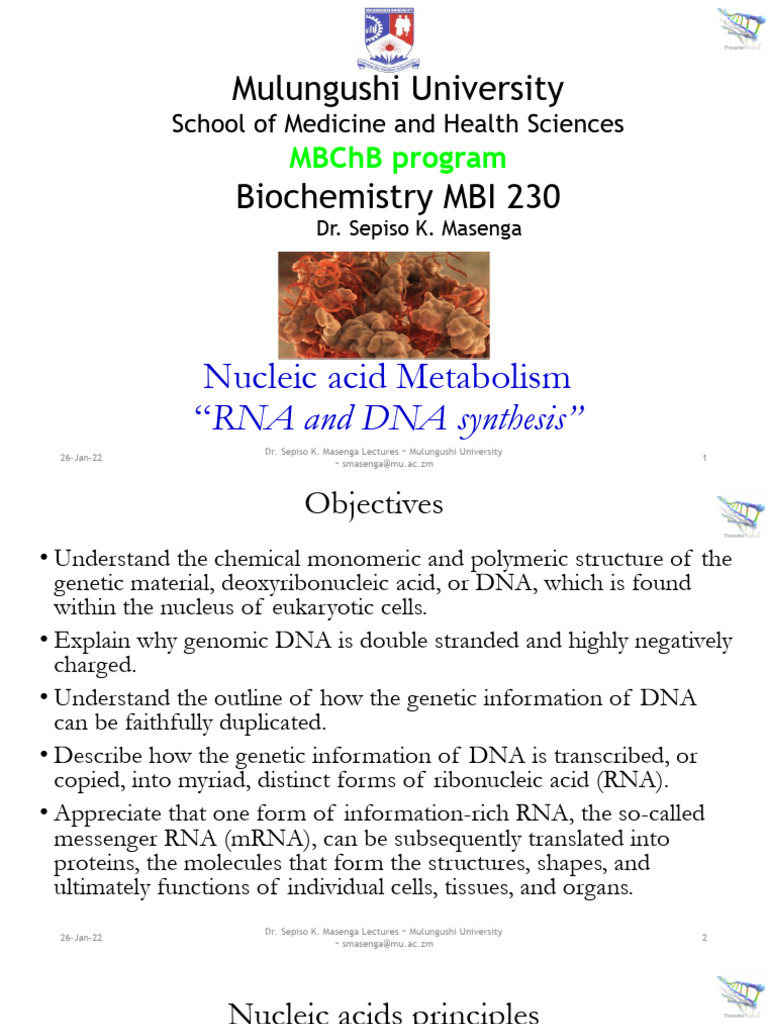 Nucleic Acid Metabolism Overview | PDF | Dna Replication | Rna