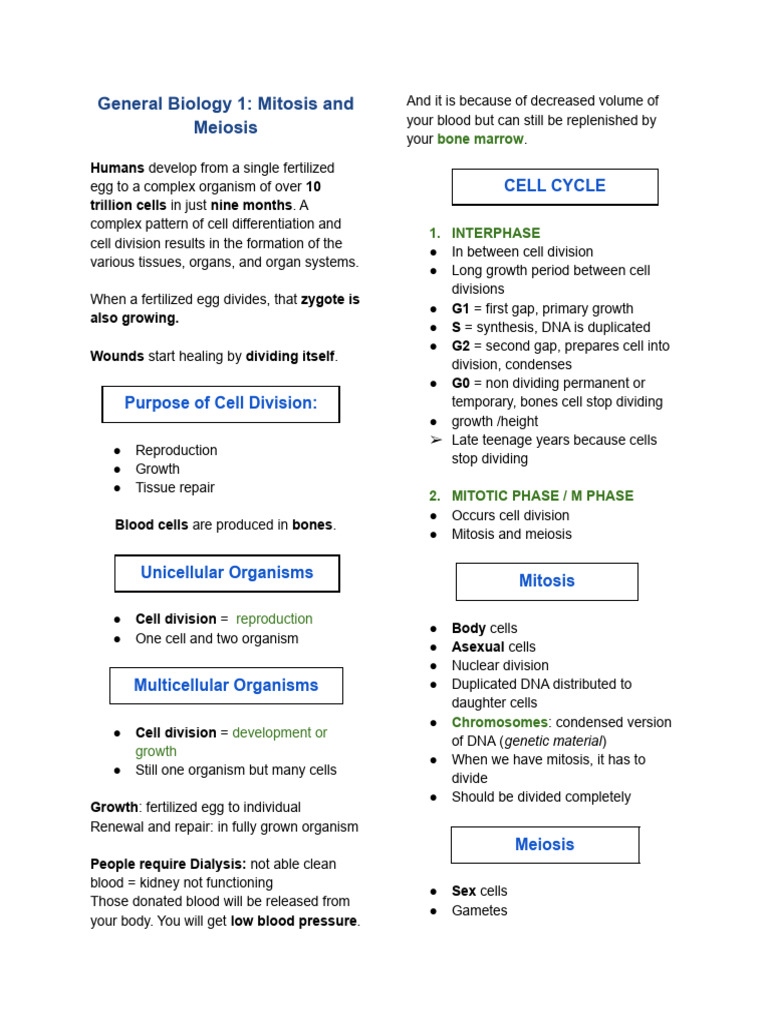 Mitosis and Meiosis in Cell Division | PDF | Meiosis | Mitosis