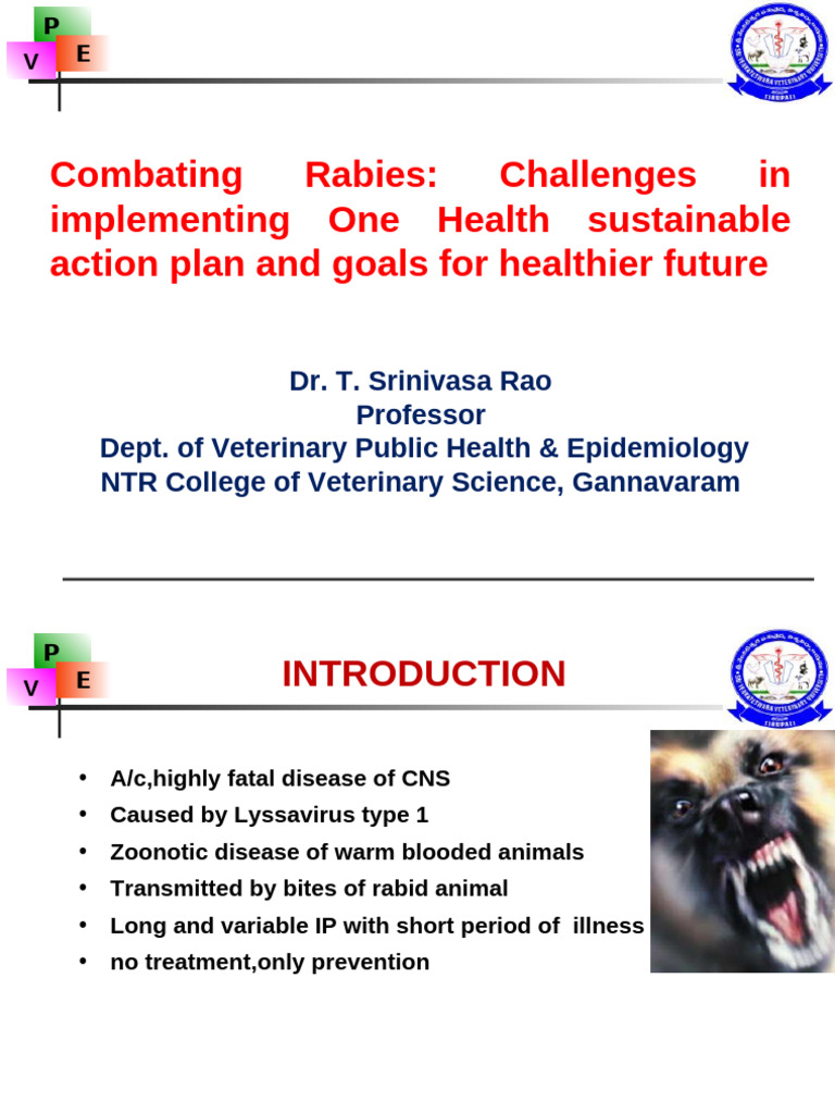Combating Rabies: One Health Strategies | PDF | Rabies | Vaccines