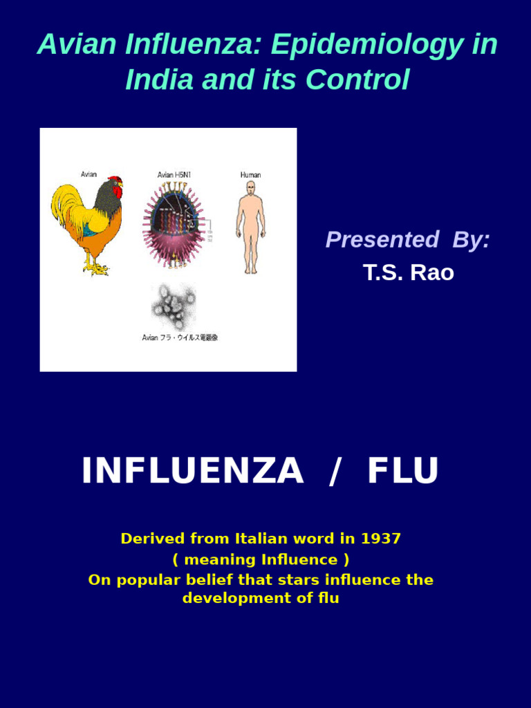Avian Influenza Control in India | PDF | Avian Influenza | Influenza