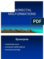 Anorectal Malformations