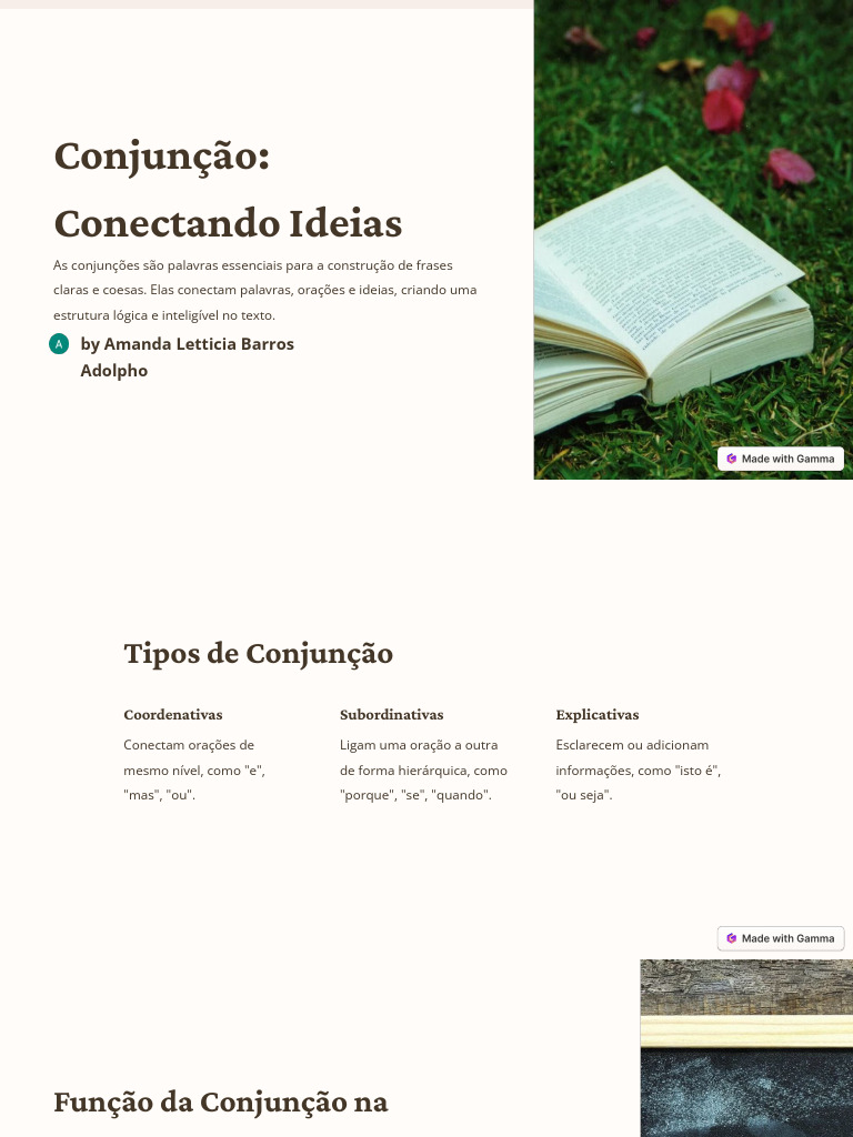 Conjuncao Conectando Ideias | PDF