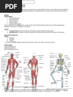 Neck Manual Muscle Testing Guide | PDF | Anatomical Terms Of Motion | Neck