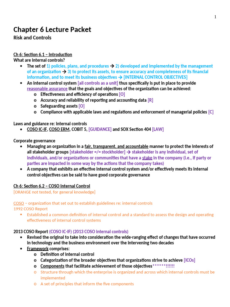 Chapter 6 Lecture Packet 2 | PDF | Internal Control | Audit