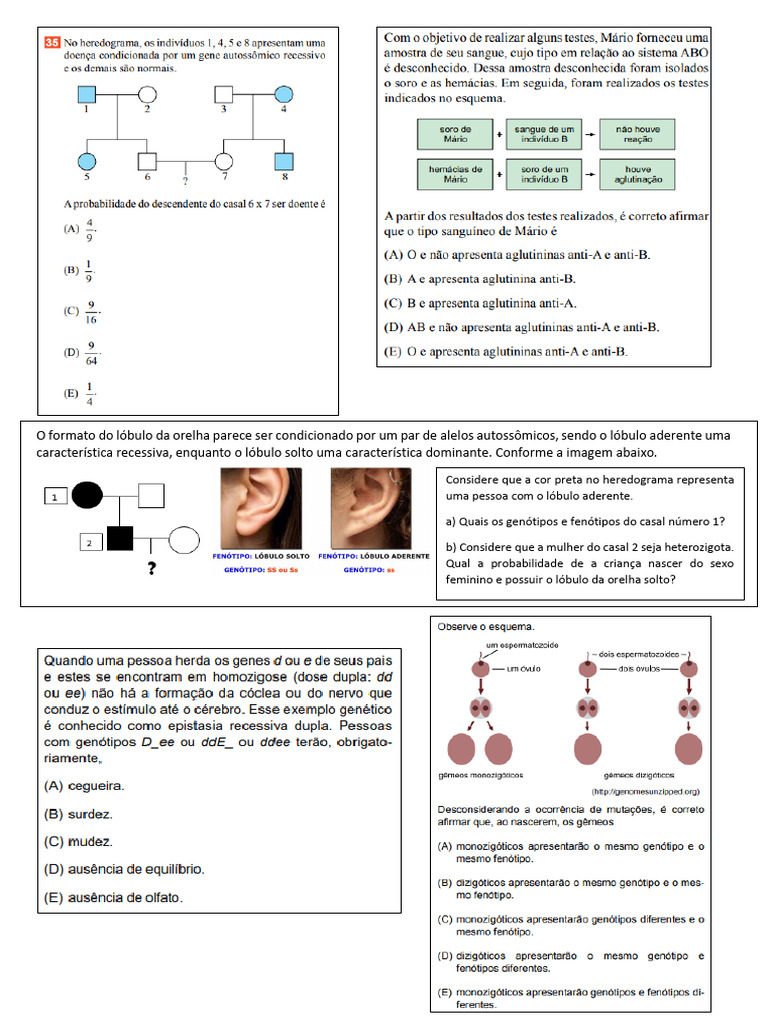 Questões 1° Lei de Mendel | PDF