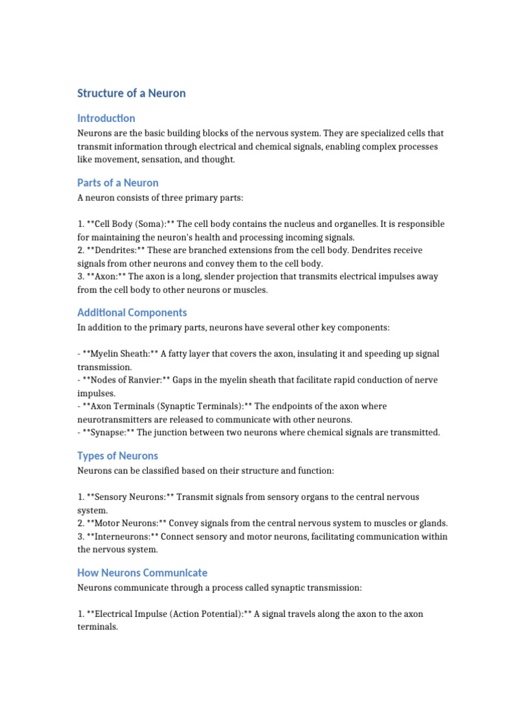 Structure and Function of Neurons | PDF | Neuron | Axon