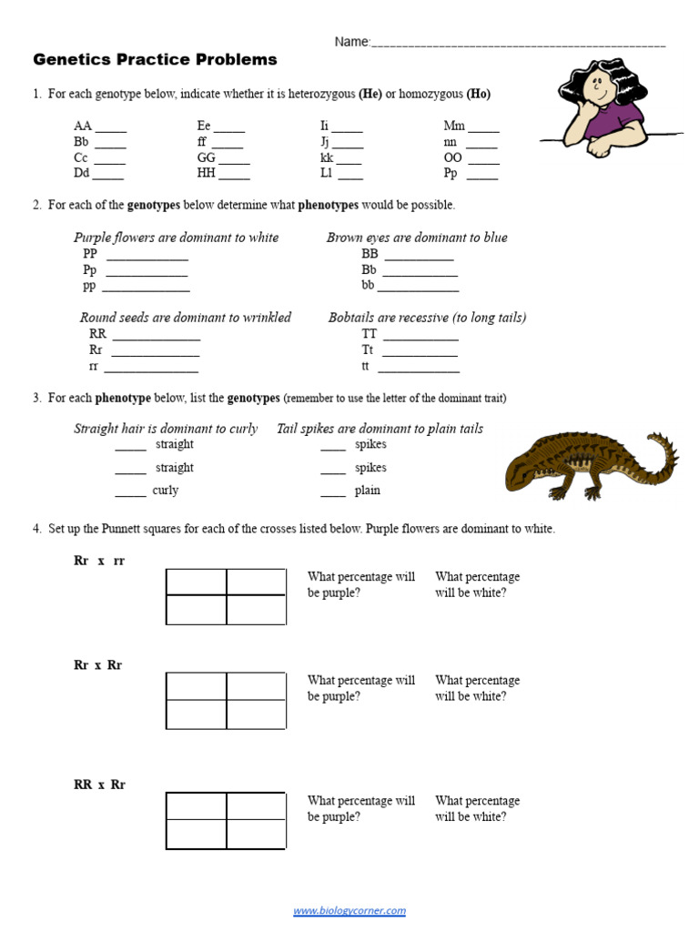 Genetics Practice Problems and Solutions | PDF | Zygosity | Genotype