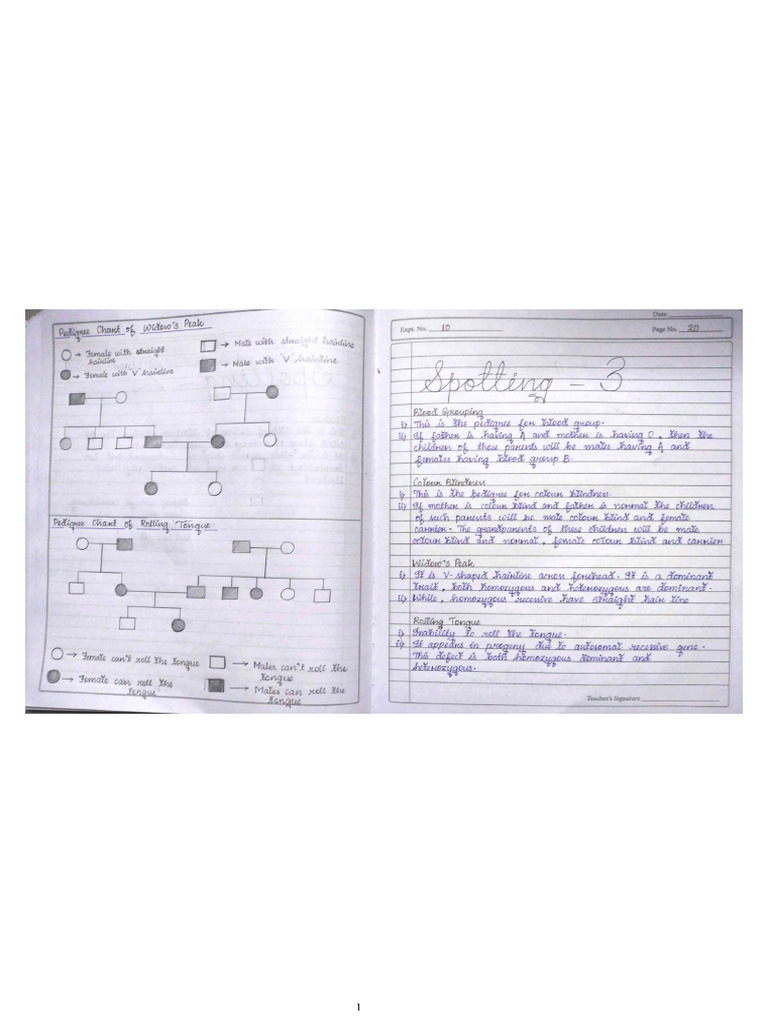 Experiment 10 | PDF