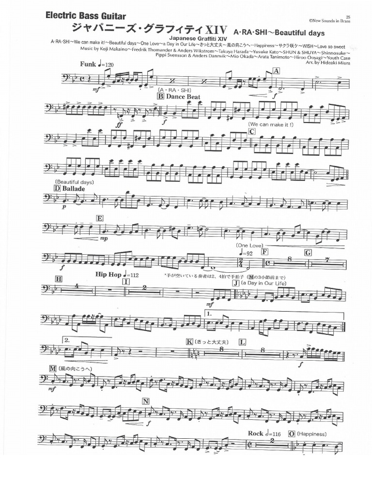 Japanese Graf XIV - Arashi | PDF