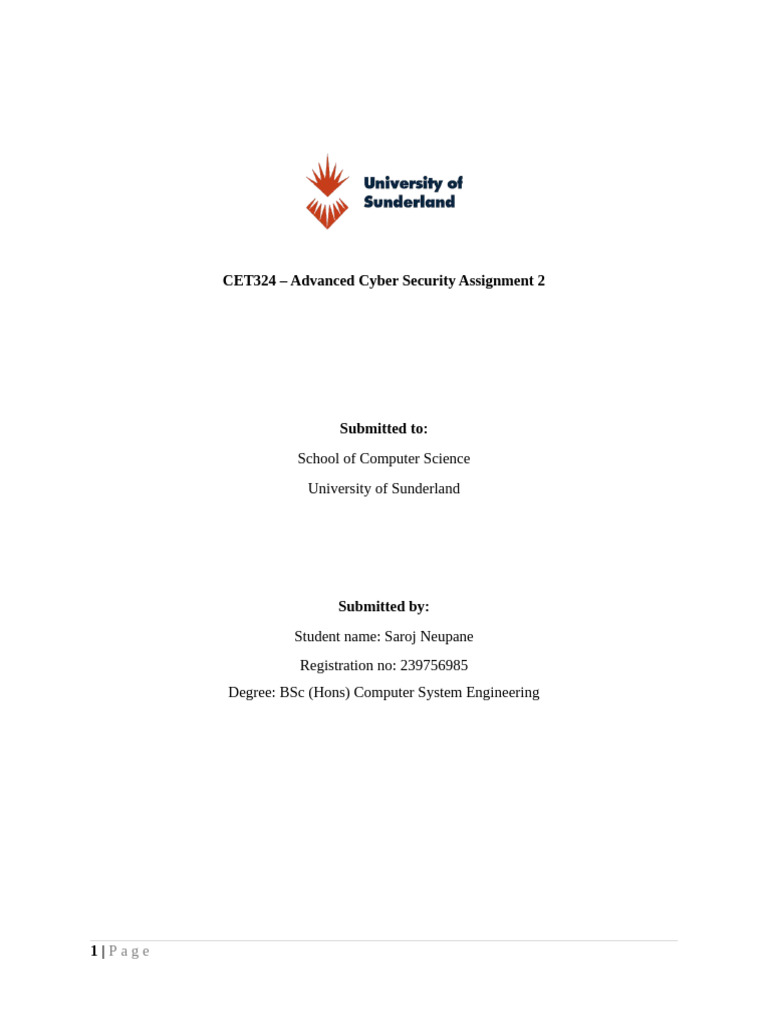 Technical Report | PDF | Password | Computer Security
