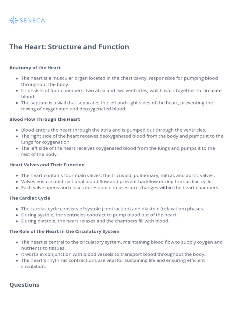 The Heart Structure and Function | PDF | Heart | Circulatory System