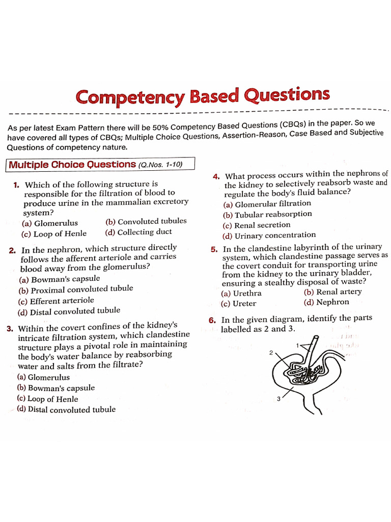 Class 10th, CH - Life Process Q | PDF