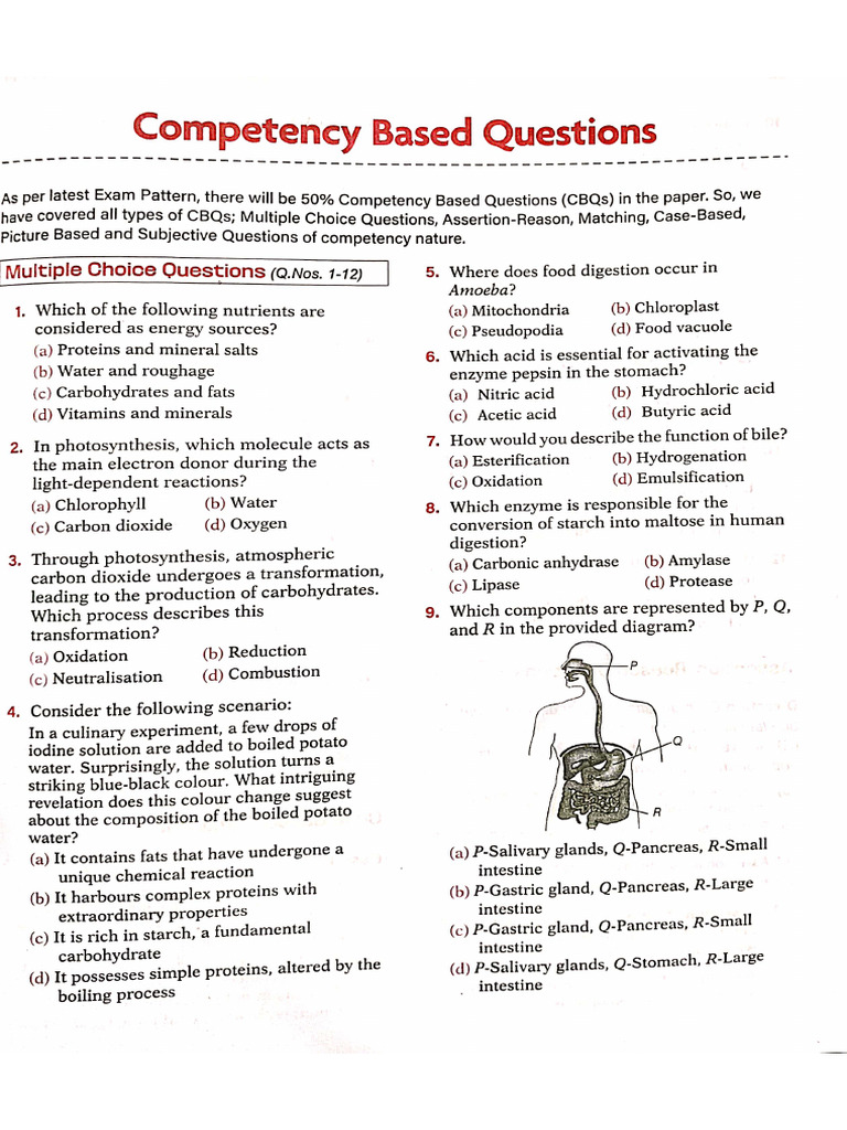 Class 10th, CH - Life Process Q-3 | PDF