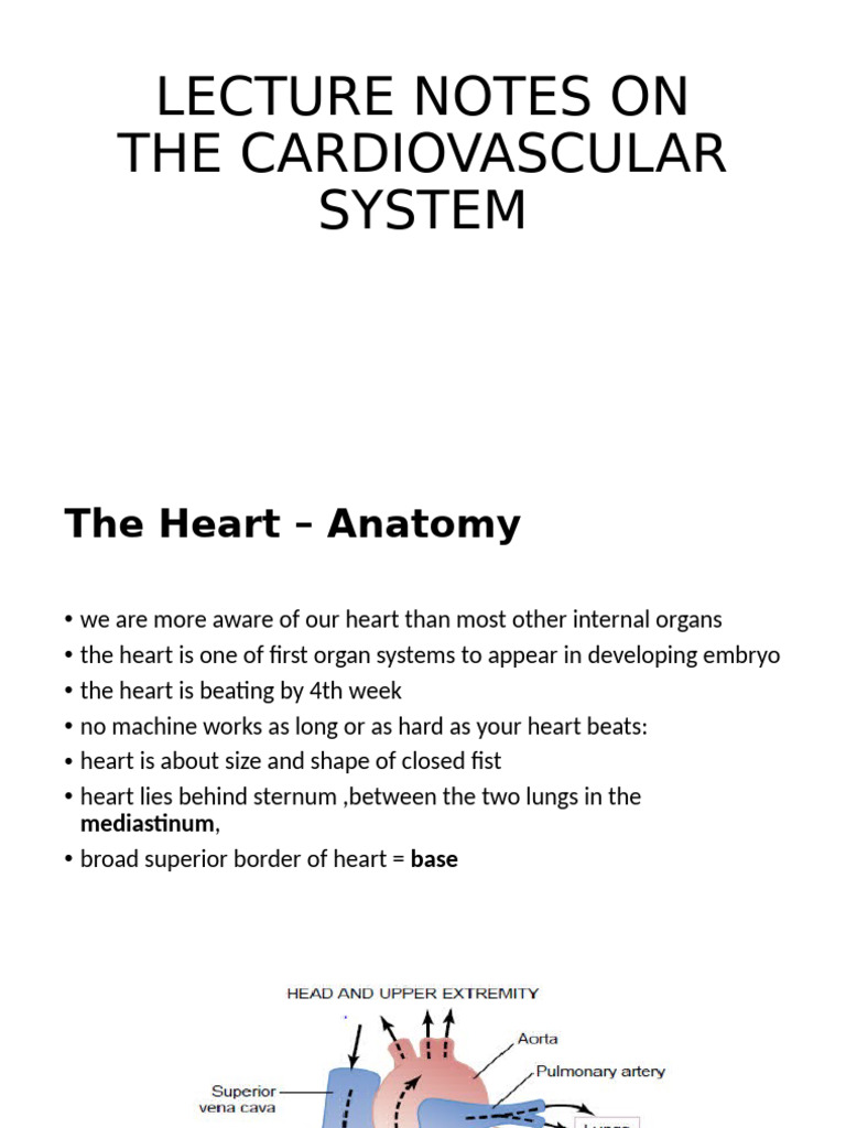 Cardiovascular System Overview | PDF | Heart Valve | Heart