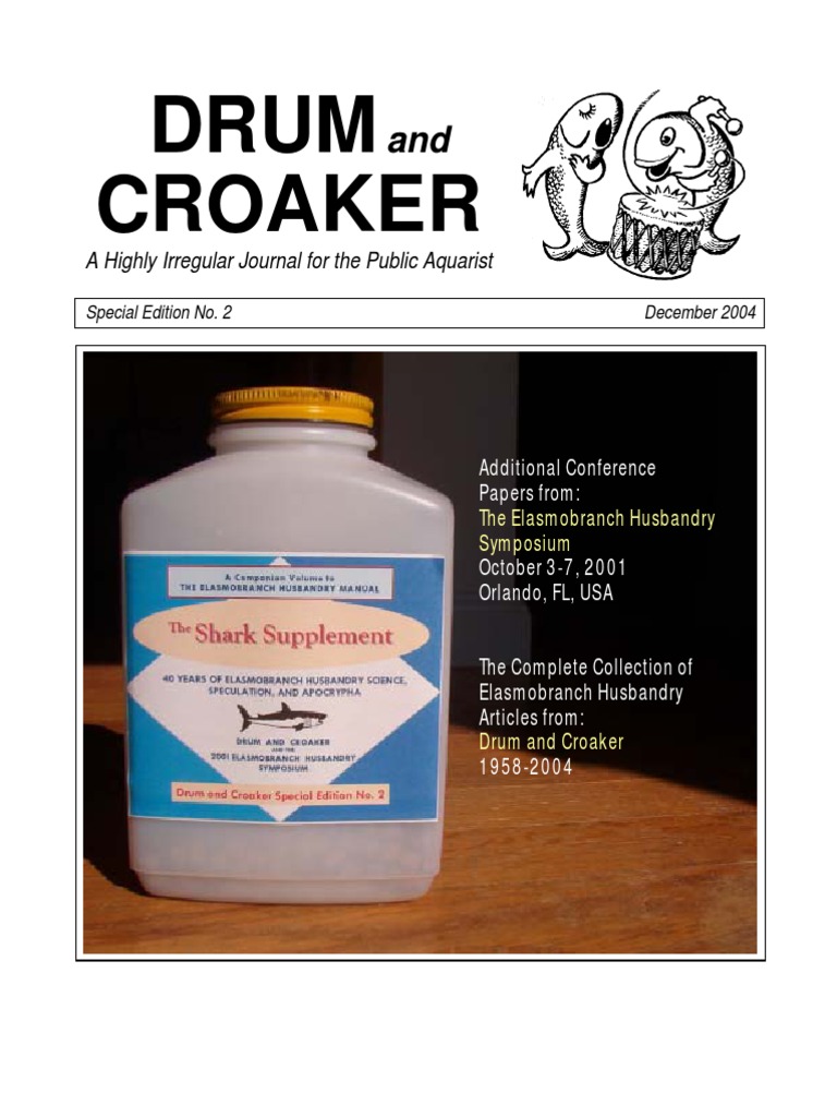 OFFICIAL BULLETIN UNDERGRADUATE STUDIES, image size:768x1024