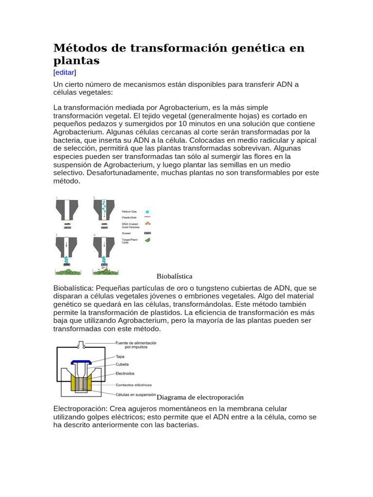 Métodos de Transformación Genética en Plantas | PDF | Organismo ...