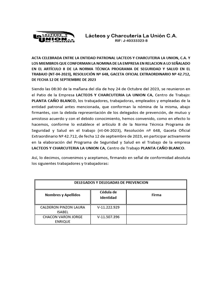 Acta Seguridad y Salud Laboral 2023 | PDF