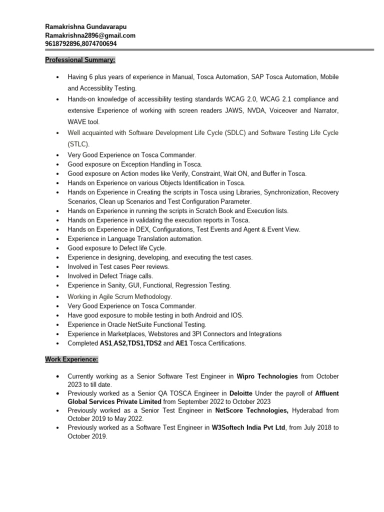Senior Software Test Engineer Profile | PDF | Application Software ...
