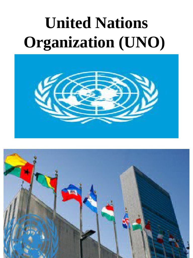 Overview of the United Nations Functions | PDF | United Nations ...
