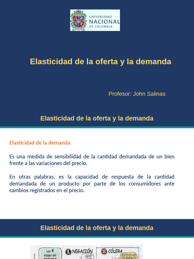 Elasticidad de la Oferta y Demanda Explicada | PDF | Elasticidad ...