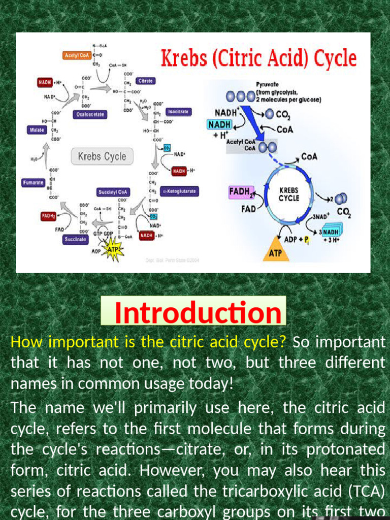 8-Tca Cycle-29-07-2024 | PDF | Citric Acid Cycle | Chemistry