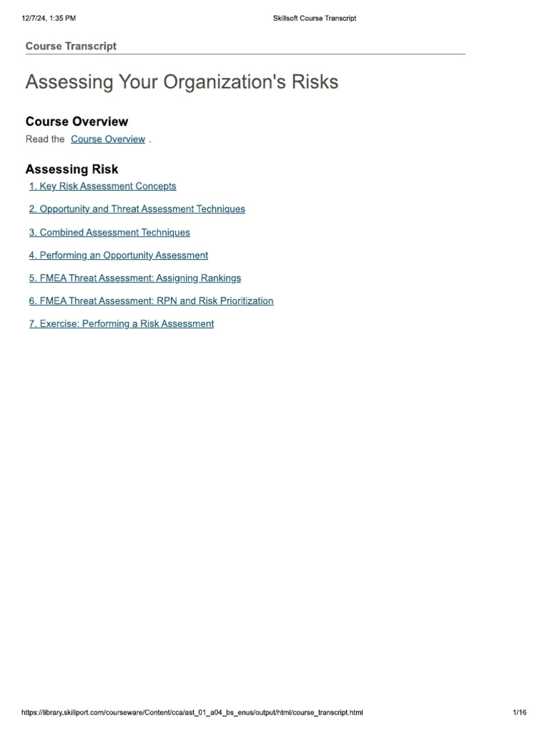 007-Assessing Your Organization's Risks | PDF