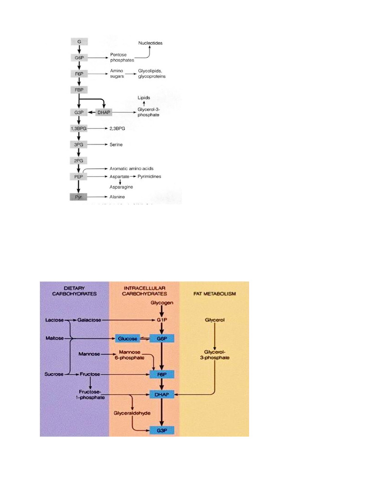 Bioq | PDF