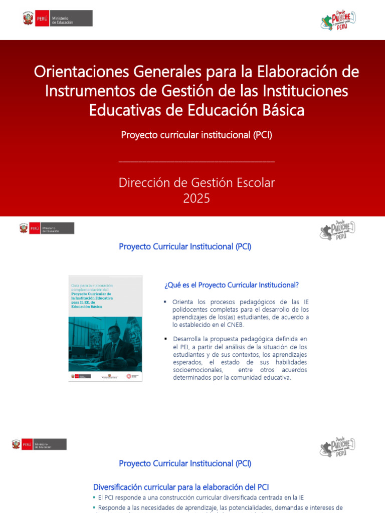 Orientaciones para el Proyecto Curricular Institucional | PDF | Plan de ...