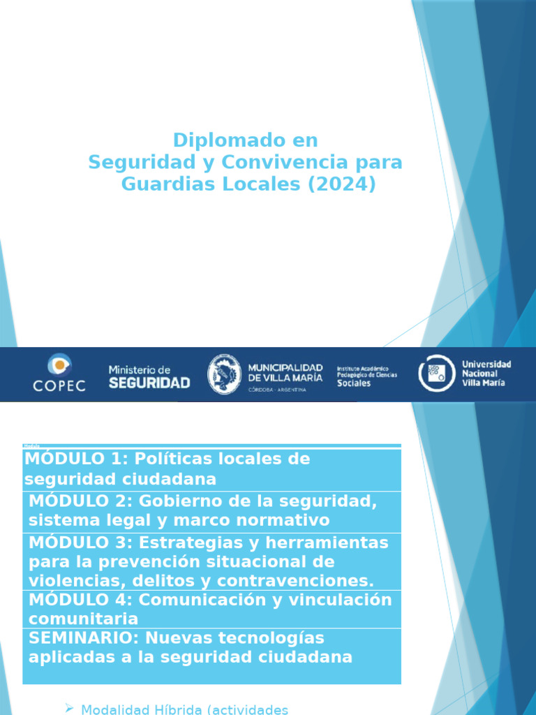 Diplomado en Seguridad Ciudadana 2024 | PDF | Violencia | Criminología