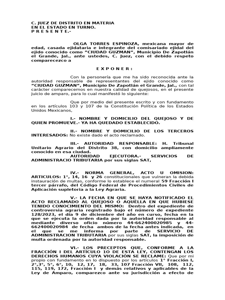 Amparo contra multa excesiva en ejido | PDF | Multa (pena) | Caso de ley