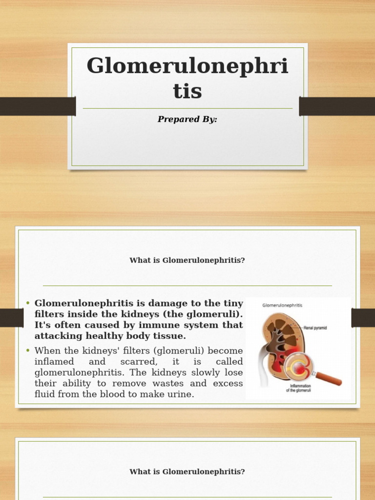 Understanding Glomerulonephritis Causes | PDF | Kidney | Diseases And ...