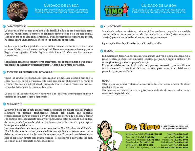 Especie Boa Cook: Especie de Boa Constrictor: Especie Boa Cook: Especie ...