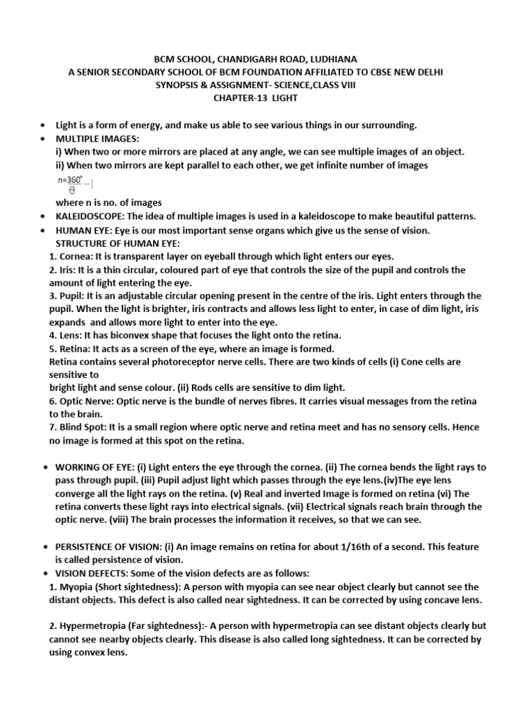 Science Assignment: Light for Class VIII | PDF | Eye | Retina