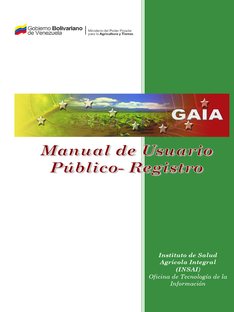 Manual de Usuario Publico Runsai | PDF | Contraseña | Usuario (informática)