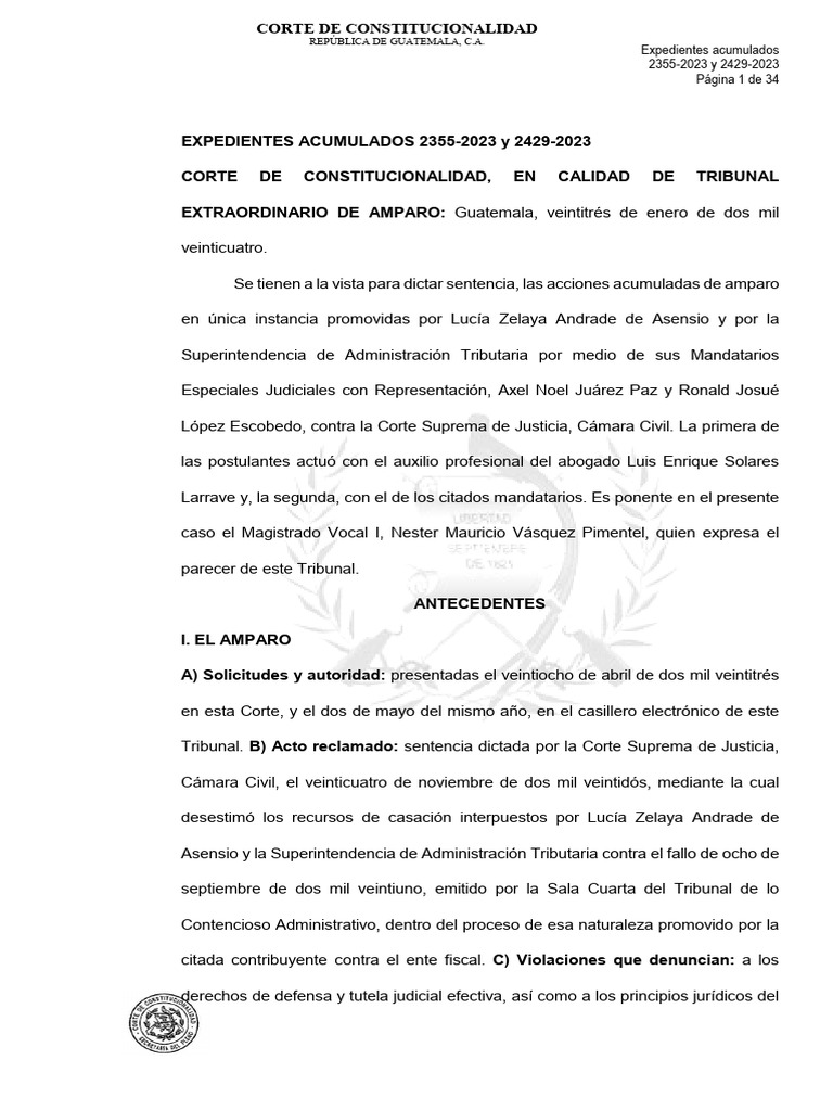 Amparo Constitucional en Guatemala 2023 | PDF | Impuestos | Contabilidad