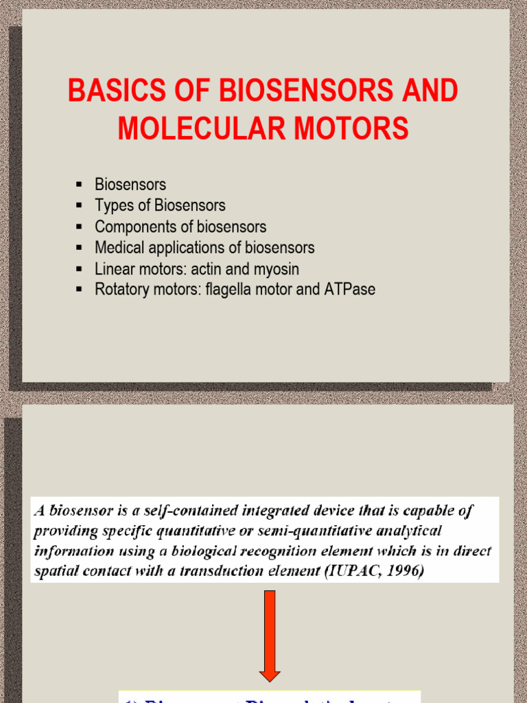 Biosensors and Molecular Motors Overview | PDF | Biosensor | Cytoskeleton