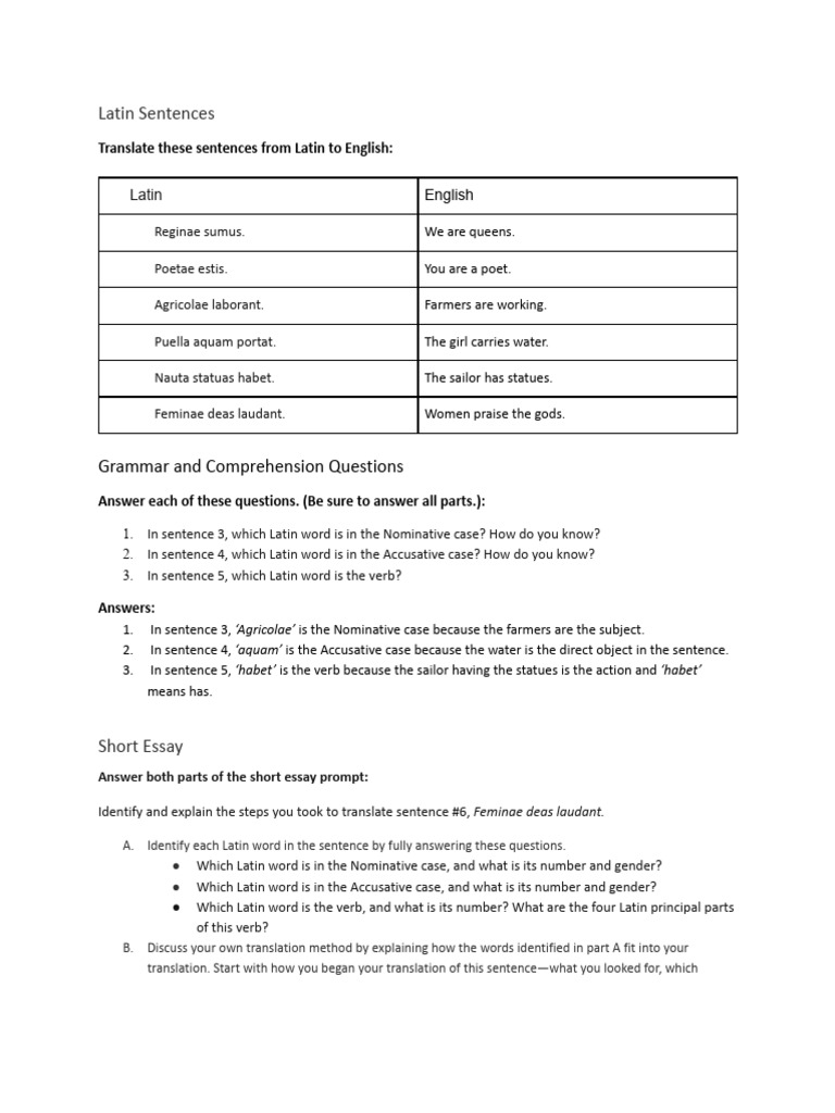 Latin Translation and Grammar Guide | PDF | Syntactic Relationships ...