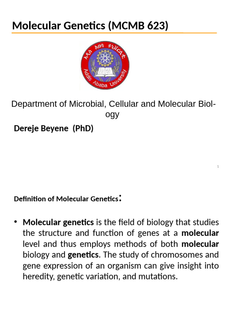 Overview of Molecular Genetics and DNA | PDF | Dna Replication ...