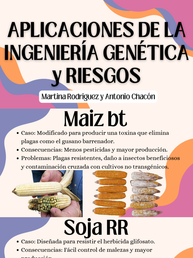 Addition and Subtraction Word Problems Math Presentation Orange in Pink ...