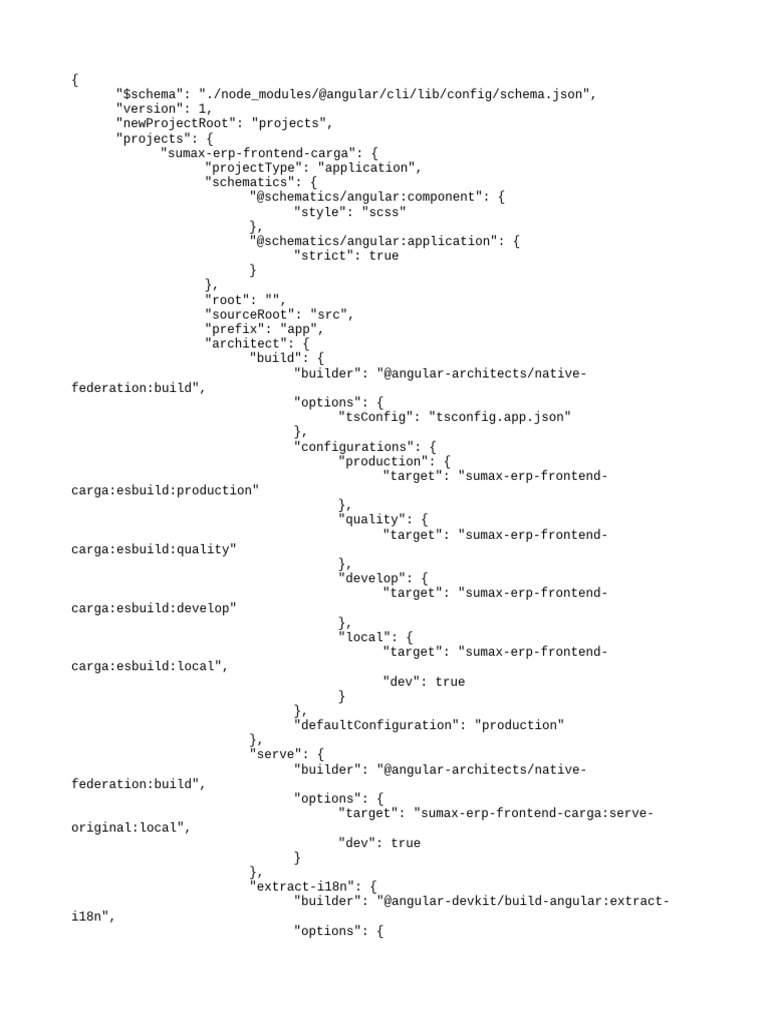 Angular Project Configuration Guide | PDF | Computer File Formats ...