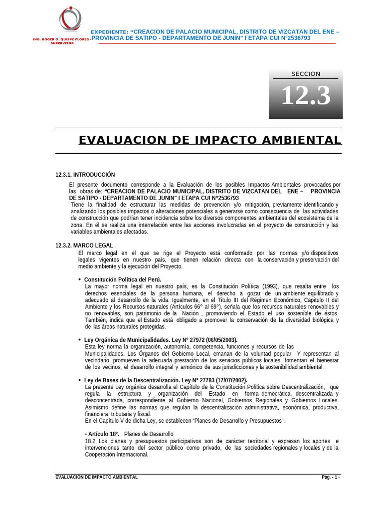 12.1 EVALUACION DE IMPACTO AMBIENTAL.u | PDF | Evaluación de impacto ...