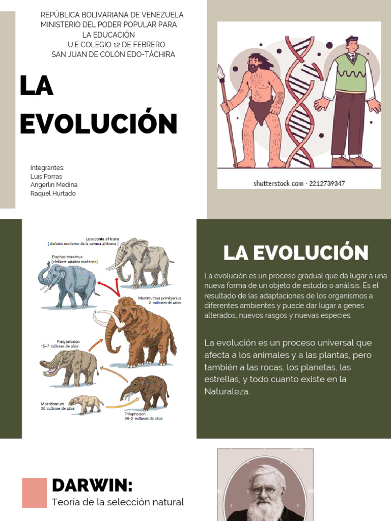 La Evolución (L, A, R) | PDF | Evolución | En el origen de las especies